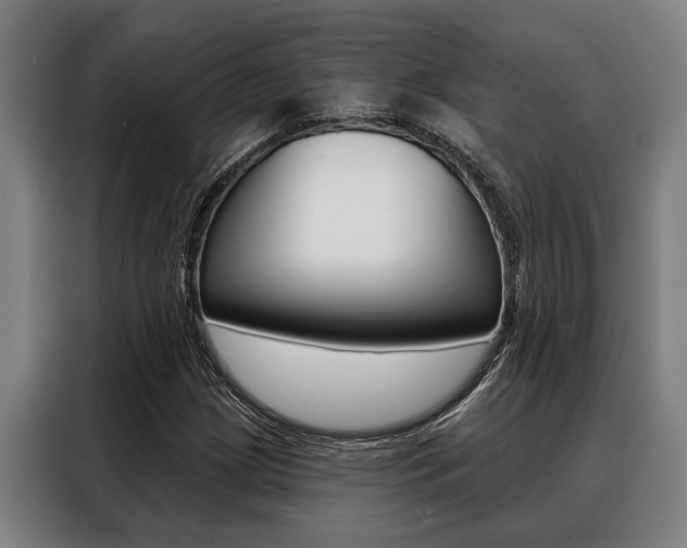 X0000088391209200705220754