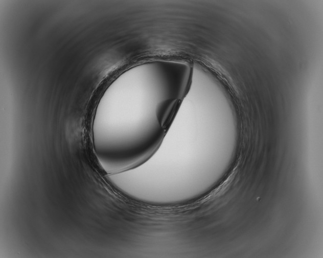 X0000088391210200705220754