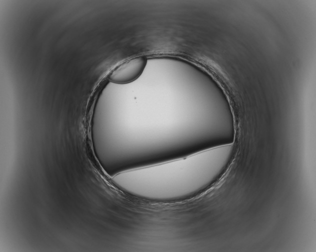X0000088391212200705220754