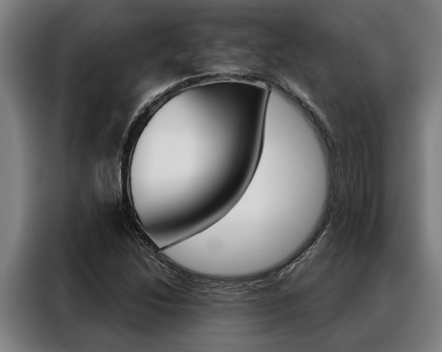 X0000088391214200705220754