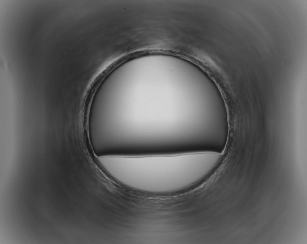 X0000088391216200705220754