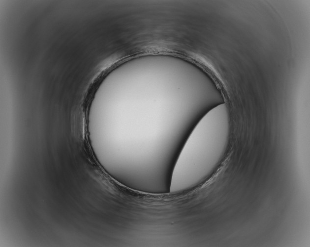 X0000088391219200705220754