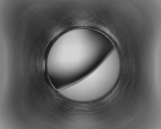 X0000088391221200705220754