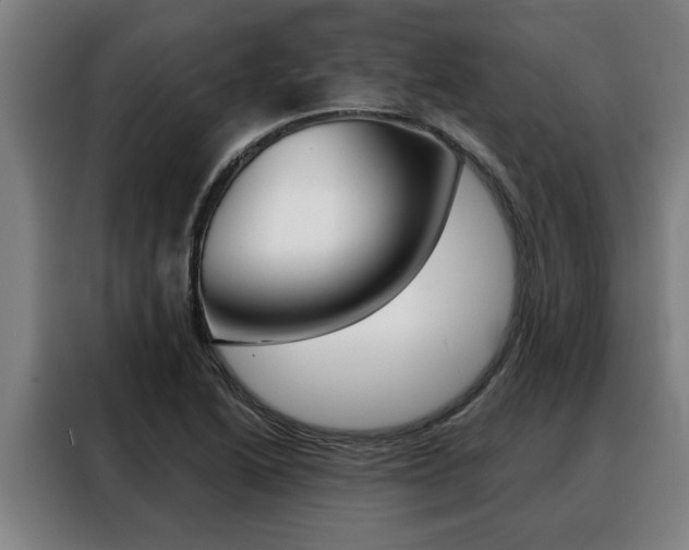 X0000088391222200705220754