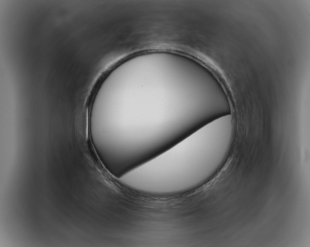 X0000088391223200705220754