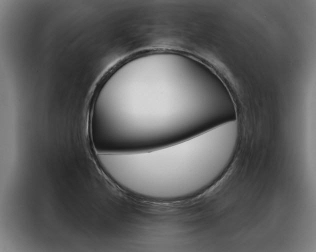 X0000088391224200705220754