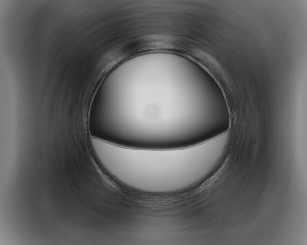 X0000088391225200705220754