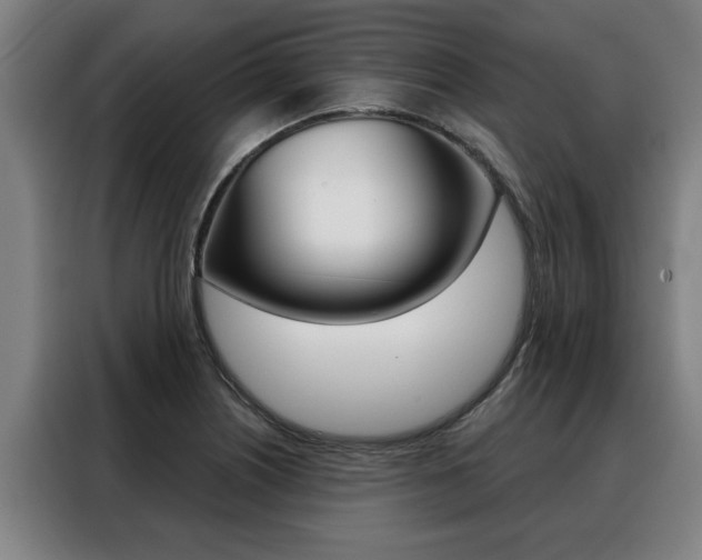 X0000088391226200705220754
