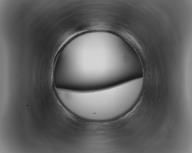 X0000088391228200705220754