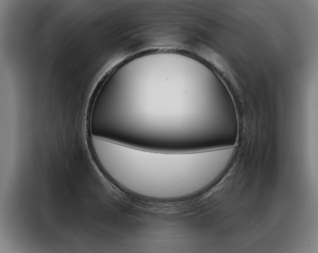 X0000088391229200705220754