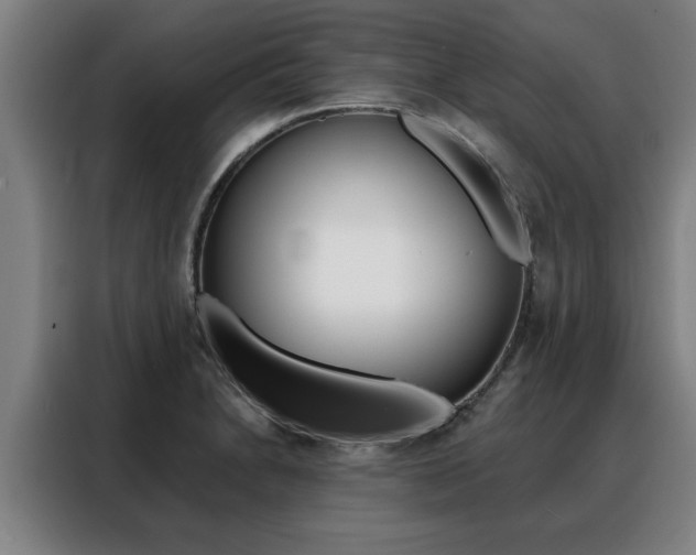 X0000088391230200705220754