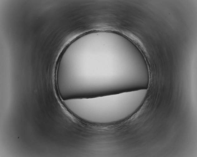 X0000088391231200705220754
