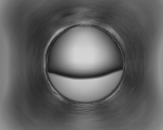 X0000088391232200705220754