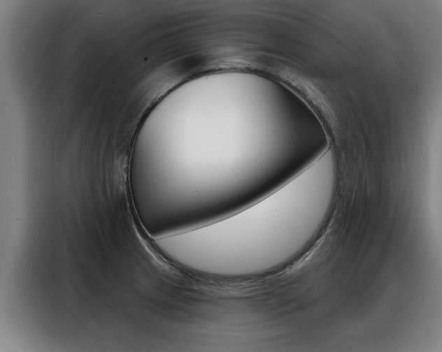 X0000088391233200705220754
