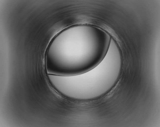 X0000088391234200705220754