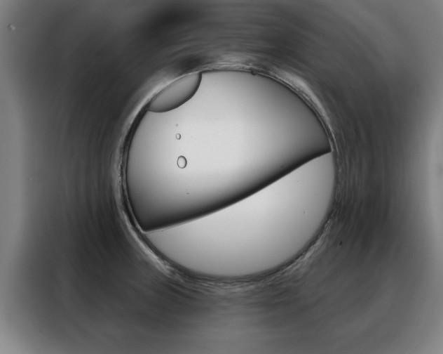 X0000088391235200705220754