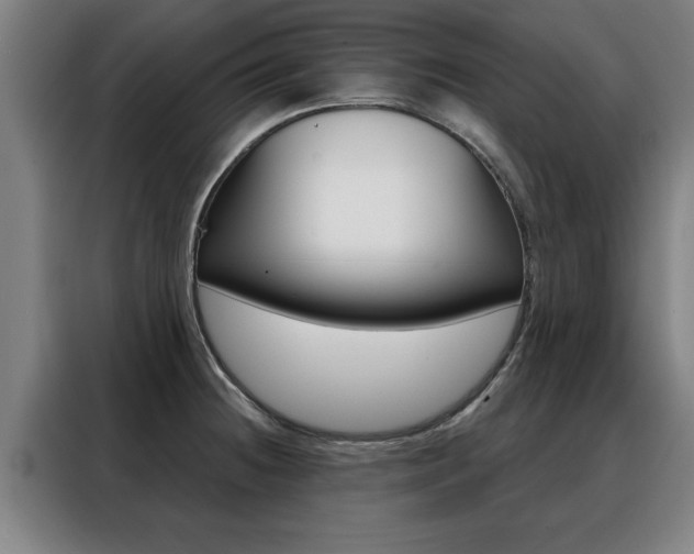 X0000088391236200705220754