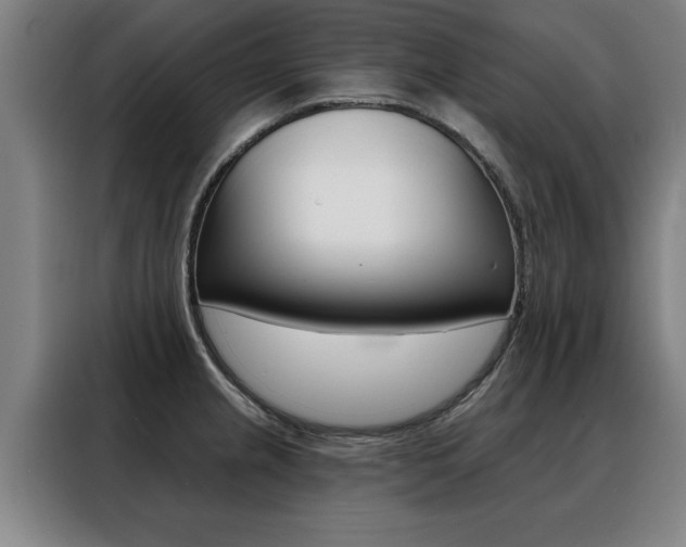 X0000088391237200705220754