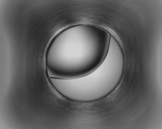 X0000088391238200705220754