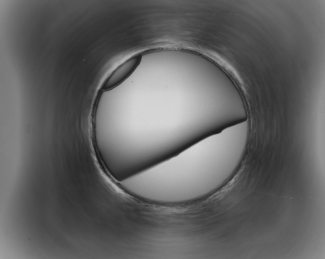 X0000088391239200705220754