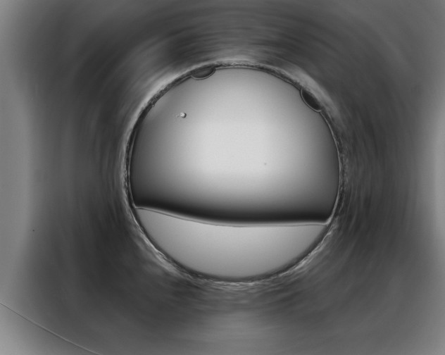 X0000088391240200705220754