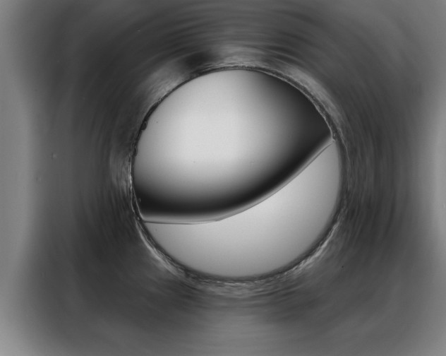X0000088391241200705220754