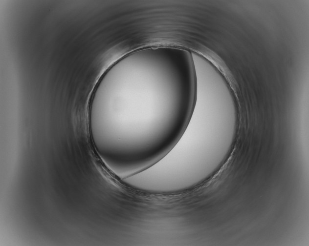 X0000088391242200705220754