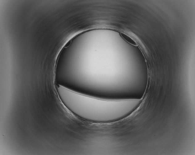 X0000088391244200705220754