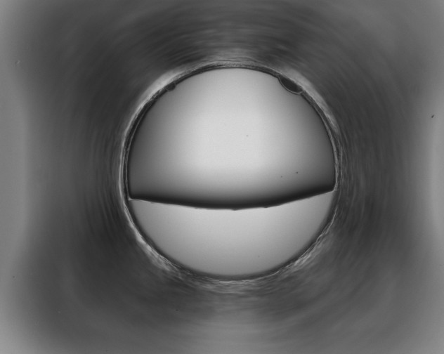 X0000088391245200705220754