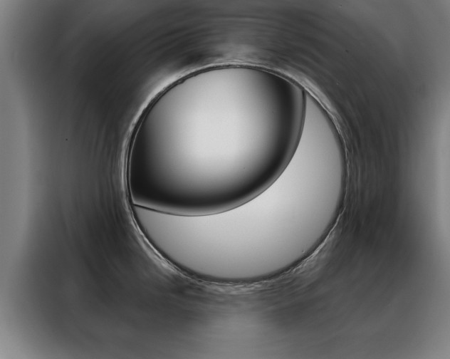 X0000088391246200705220754