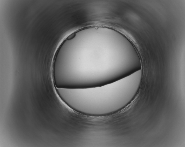 X0000088391247200705220755