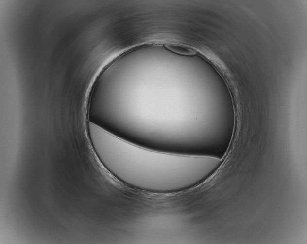 X0000088391248200705220755