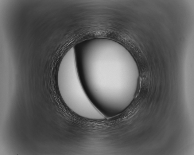 X0000088391249200705220754