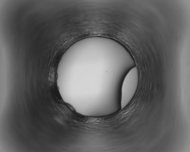 X0000088391251200705220754