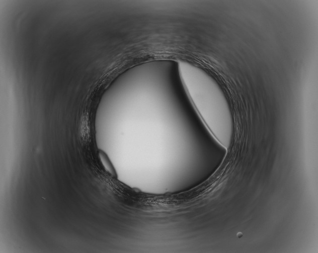 X0000088391252200705220754