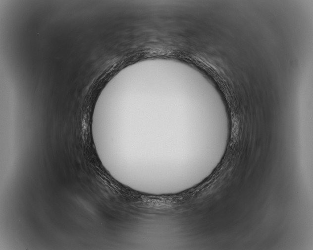 X0000088391254200705220754