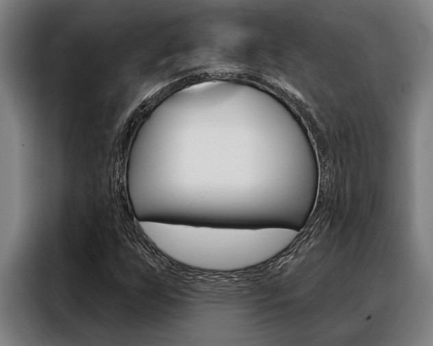 X0000088391255200705220754