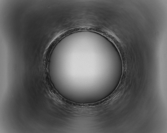X0000088391256200705220754