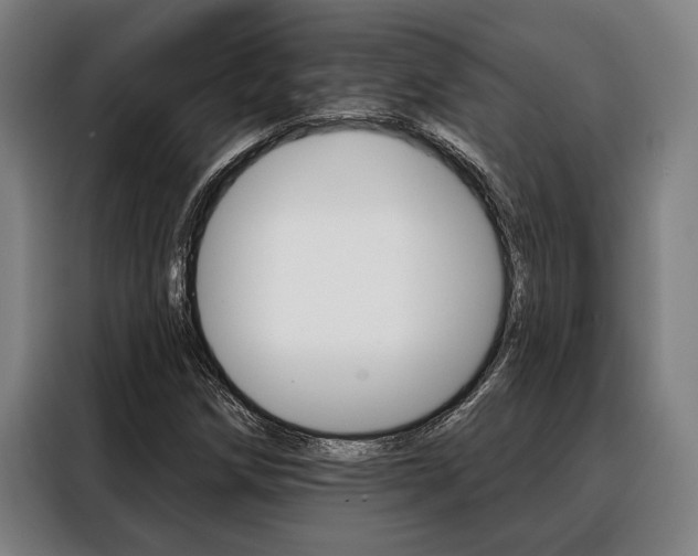 X0000088391258200705220754