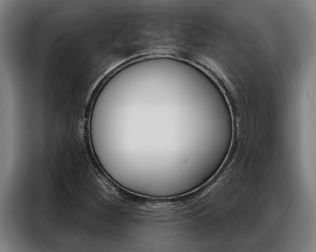 X0000088391260200705220754