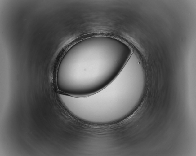 X0000088391261200705220754