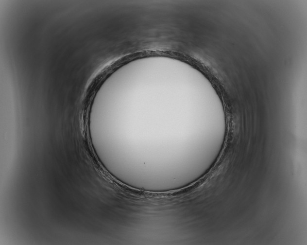 X0000088391262200705220754