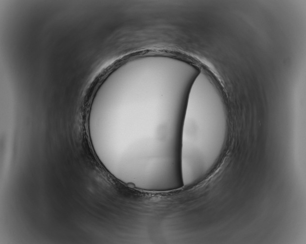 X0000088391263200705220754