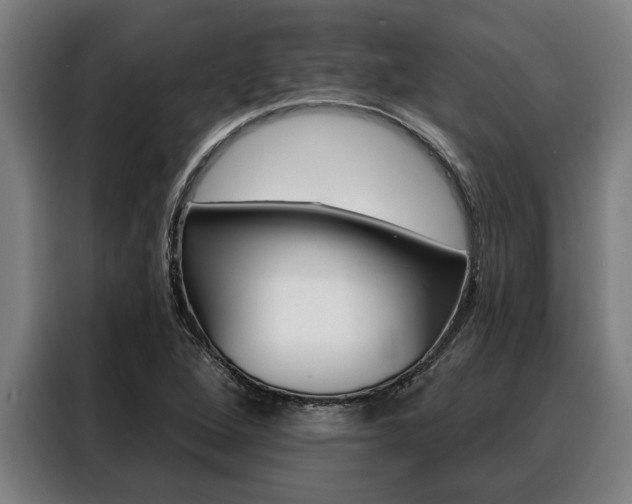 X0000088391264200705220754