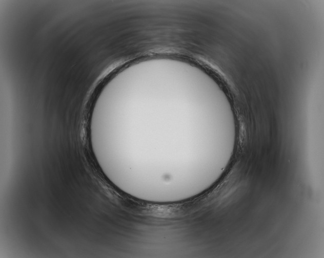 X0000088391266200705220754