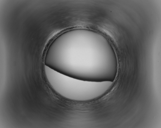 X0000088391267200705220754