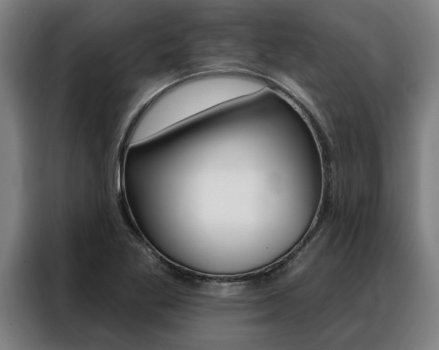 X0000088391269200705220754