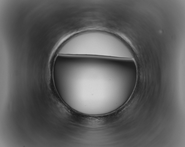 X0000088391270200705220754