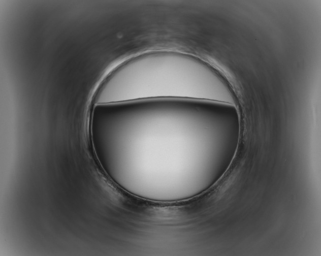 X0000088391272200705220754