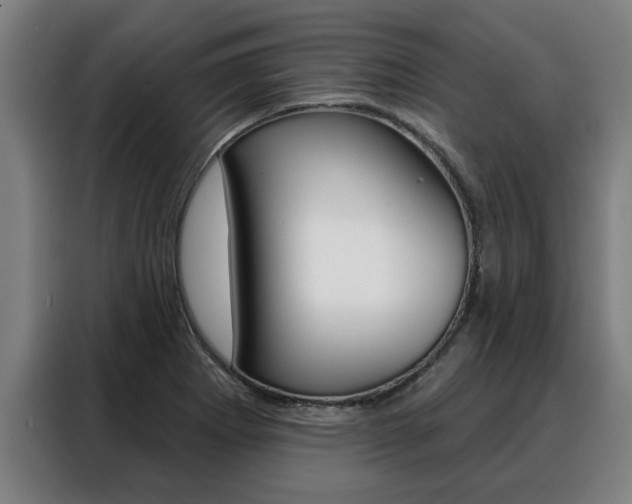 X0000088391273200705220754